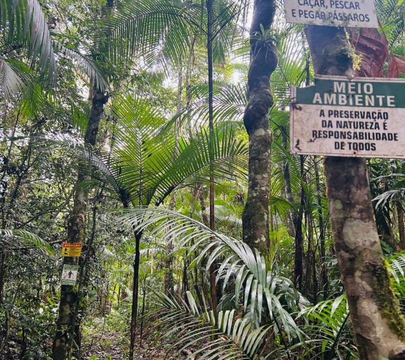 Photo of Others in Santa Rita do Ribeira