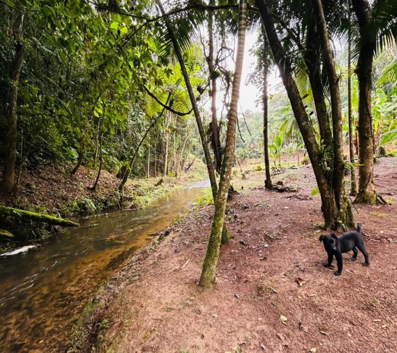 Photo of Others in Santa Rita do Ribeira