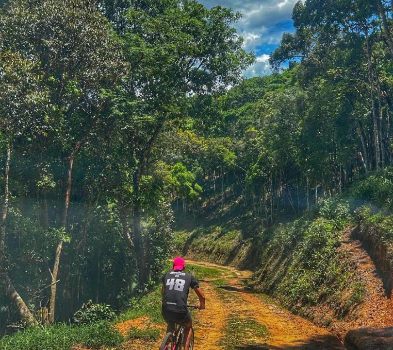 Photo of Others in Santa Rita do Ribeira