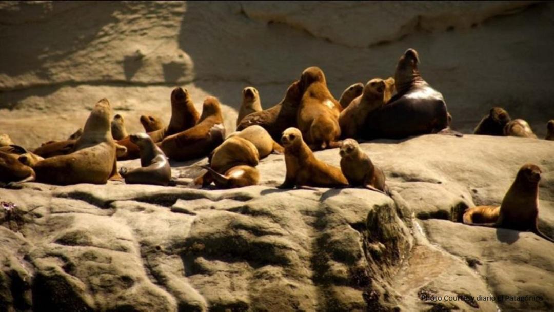 Photo of Others in Rada Tilly