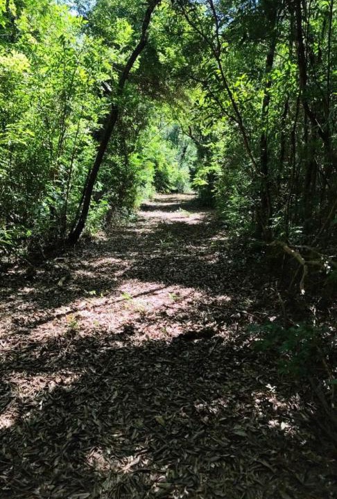 Photo of Others in General Urquiza