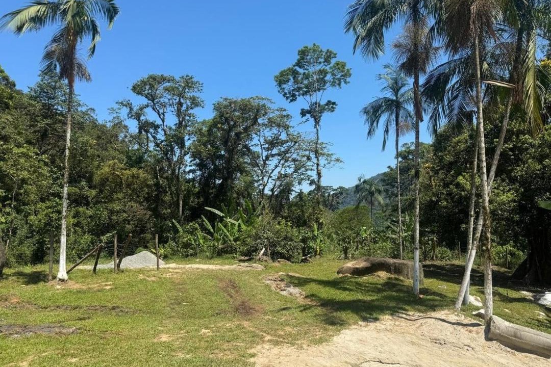 Photo of Others in Paraty