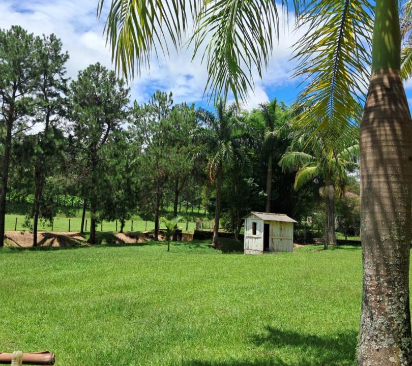 Photo of Others in Conceicao do Rio Verde