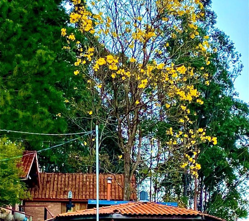 Photo of Others in Aguas da Prata