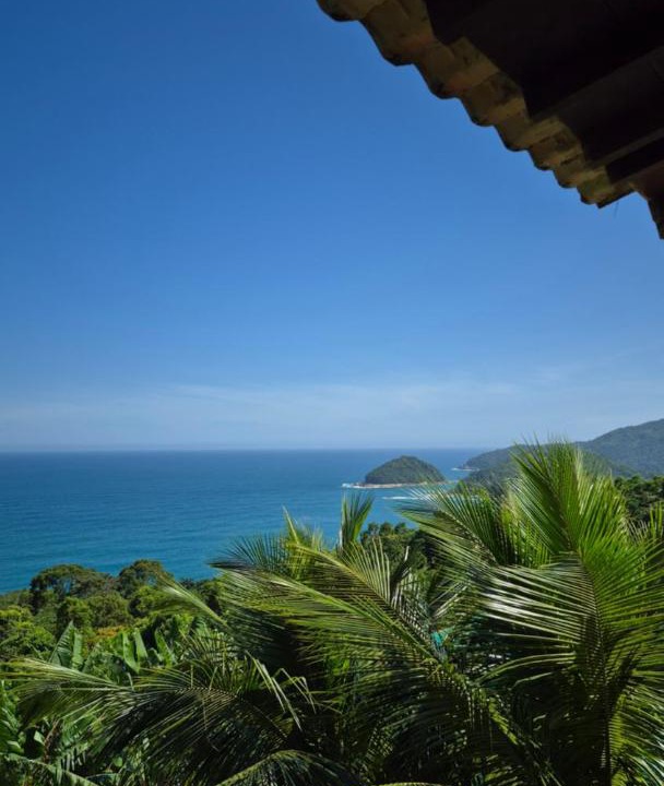 Photo of Others in Trindade