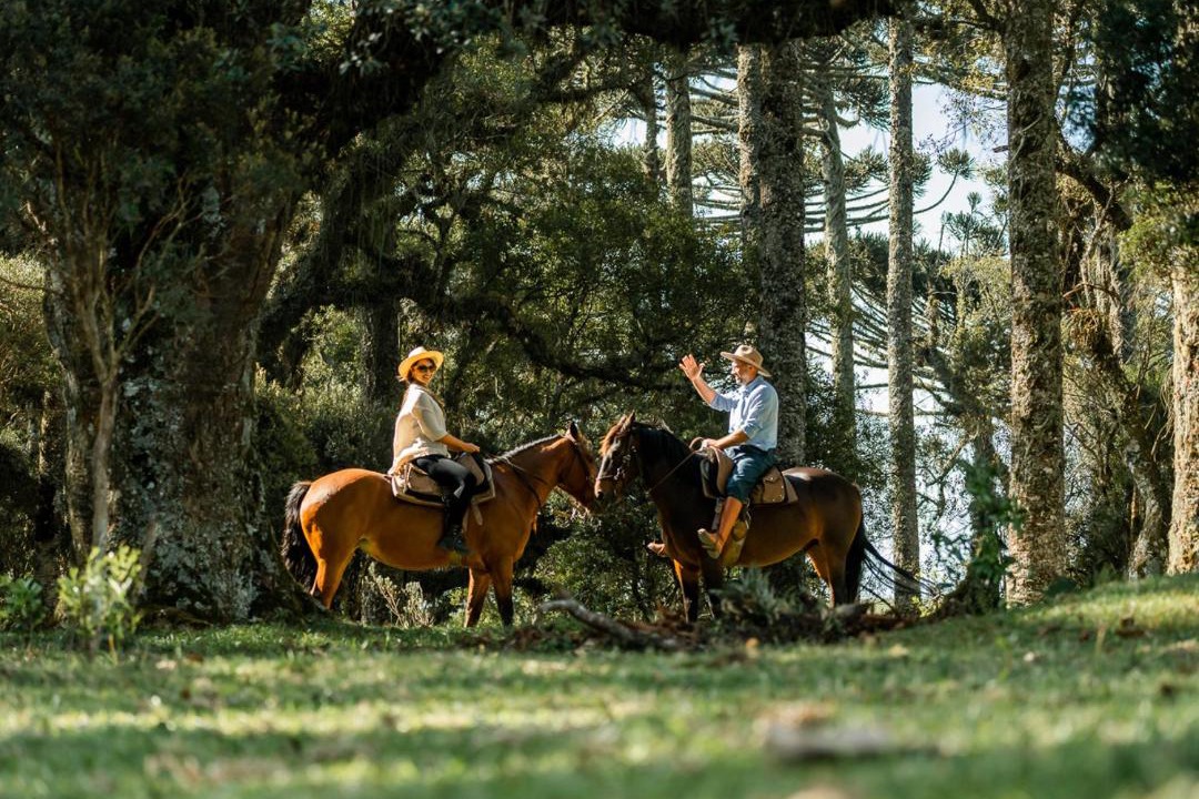 Photo of Others in Cambara do Sul