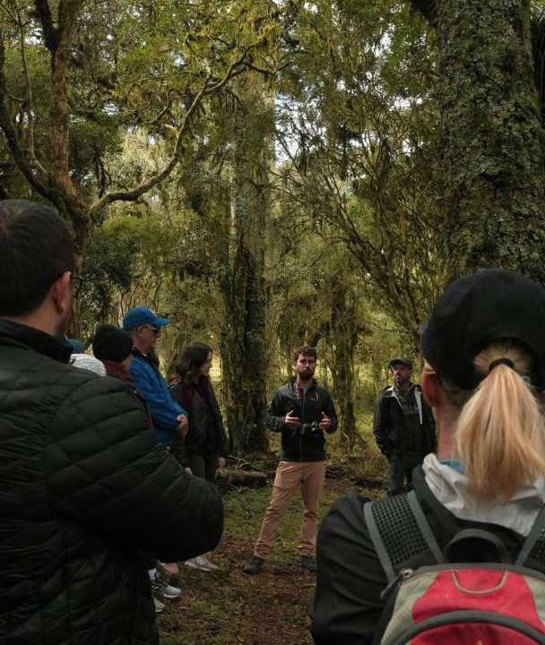Photo of Others in Cambara do Sul