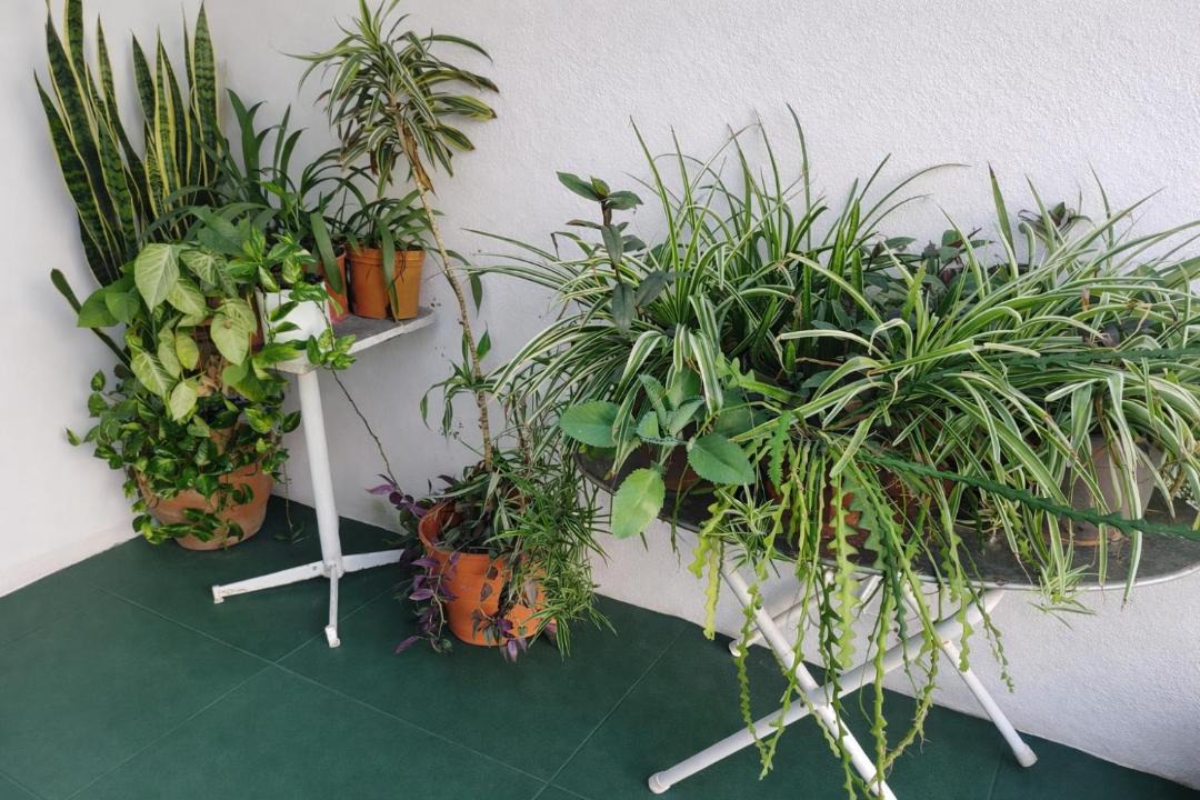 Photo of Others in Termas de Rio Hondo