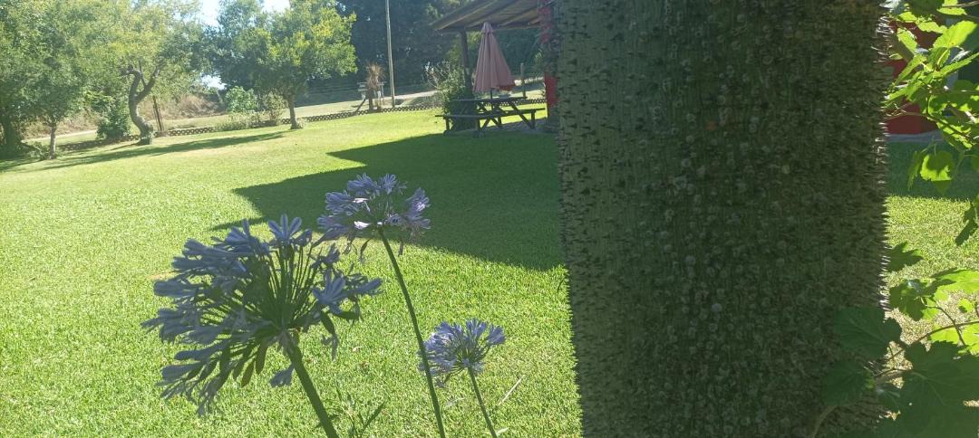 Photo of Others in Chascomus