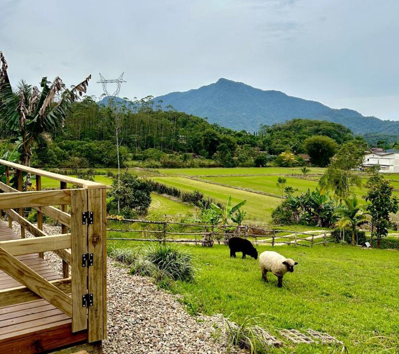 Photo of Others in Braco do Sul