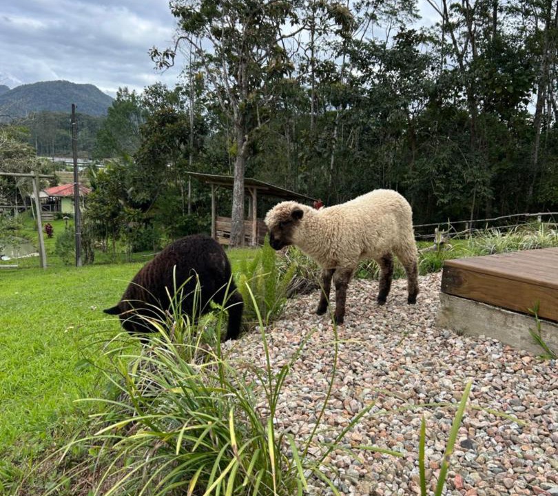 Photo of Others in Braco do Sul