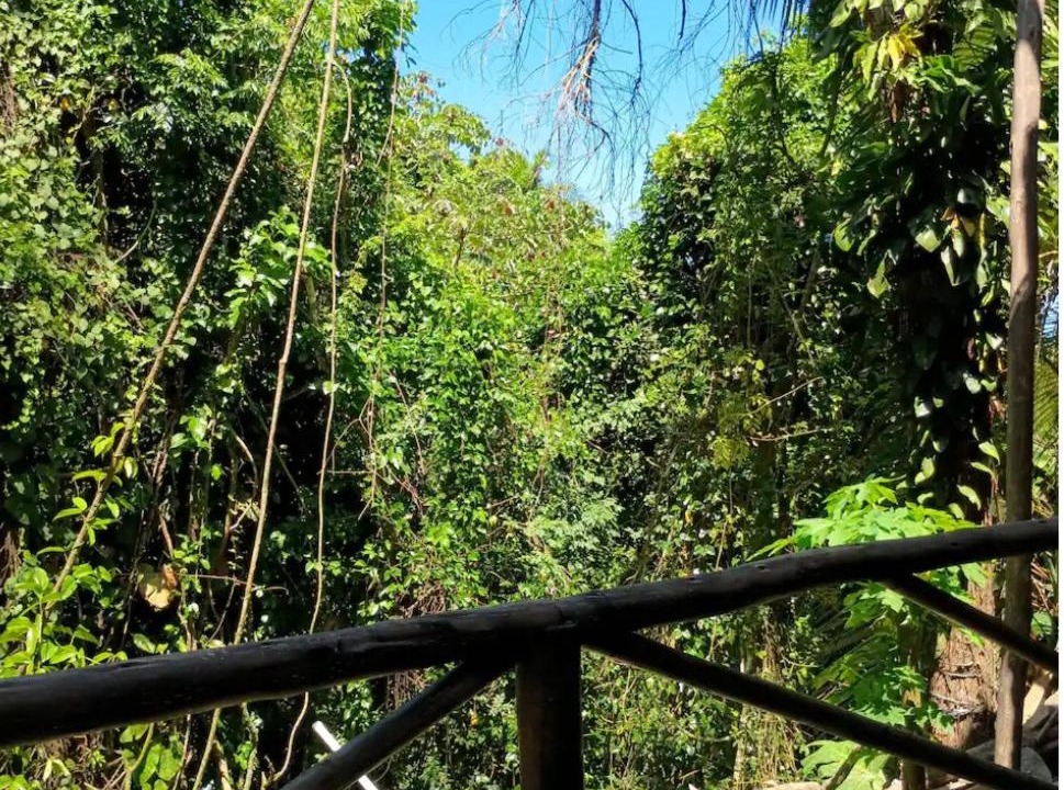 Photo of Others in Trindade