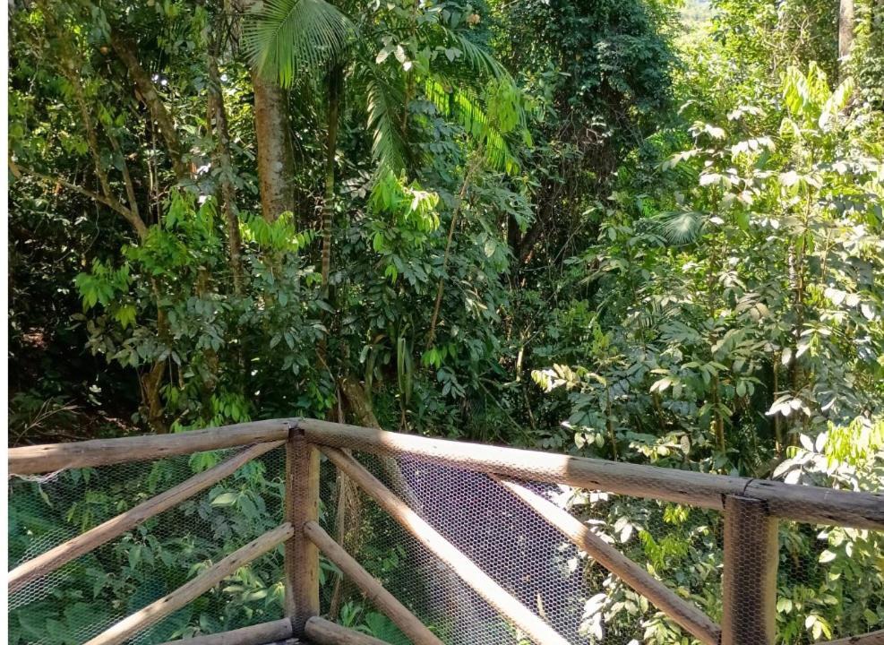 Photo of Others in Trindade