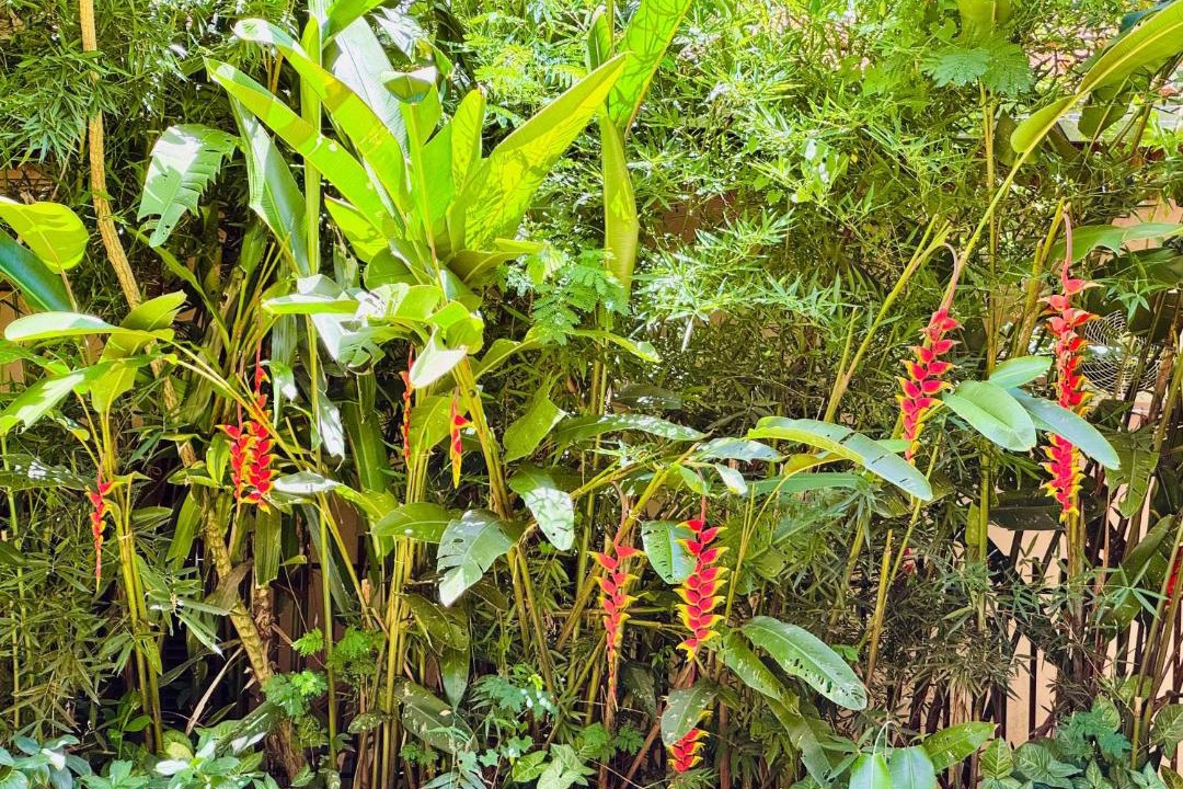 Photo of Others in Puerto Iguazu