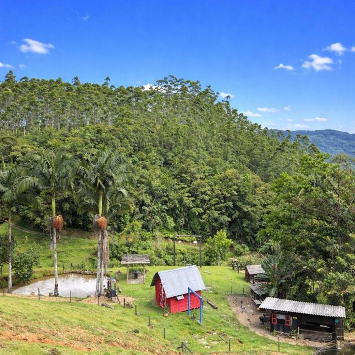 Photo of Others in Benedito Novo