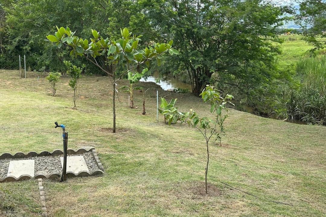 Photo of Others in Guaramirim