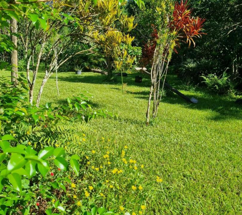 Photo of Outdoor in Paraty