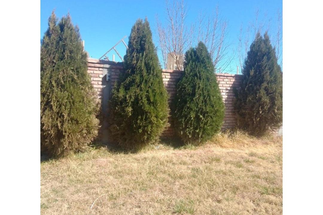 Photo of Outdoor in Barreal