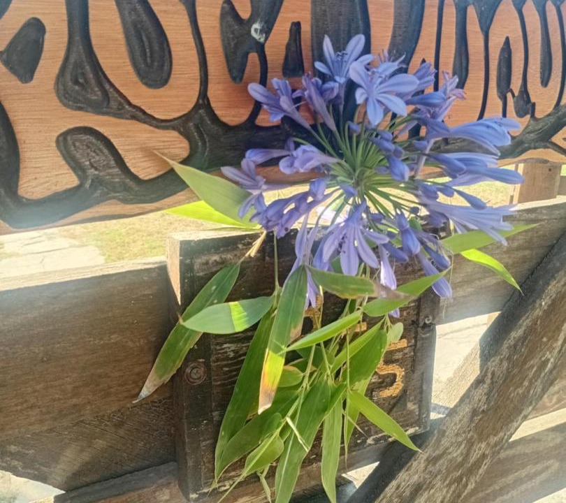 Photo of Outdoor in Necochea