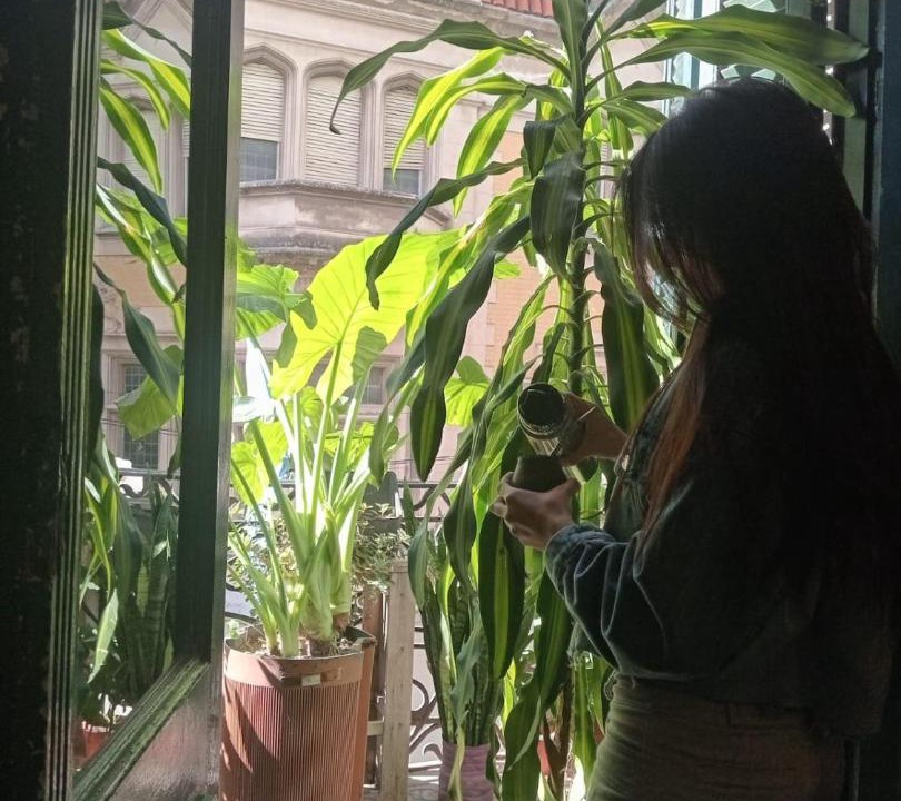 Photo of Others in Centro