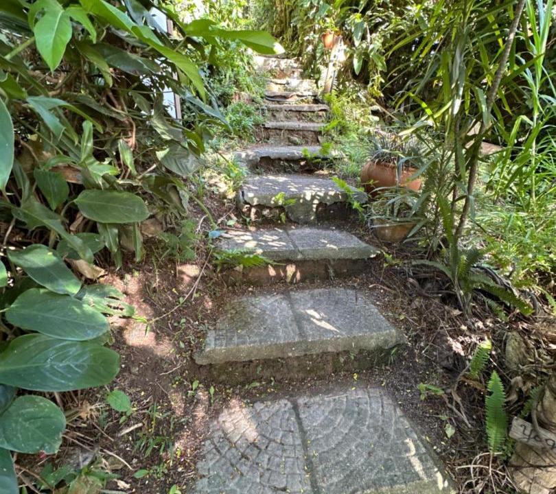 Photo of Outdoor in Pedrita
