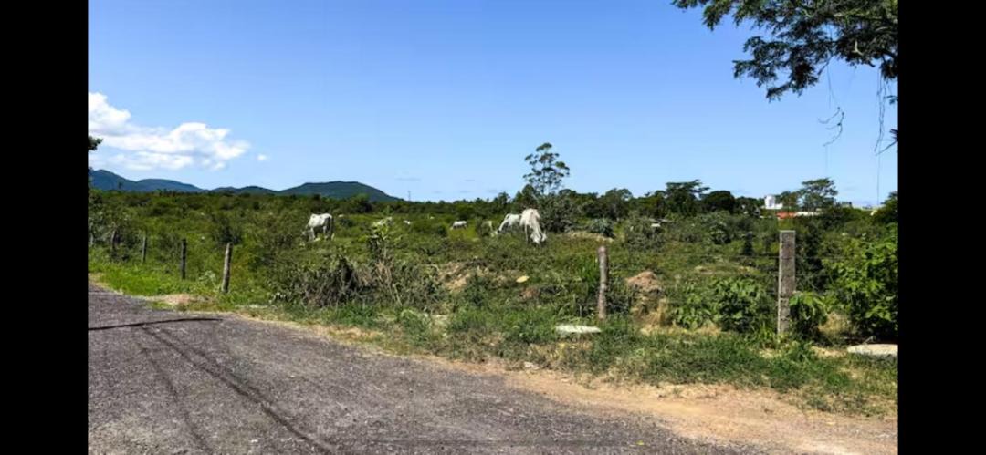 Photo of Others in Alto Ribeirao Leste