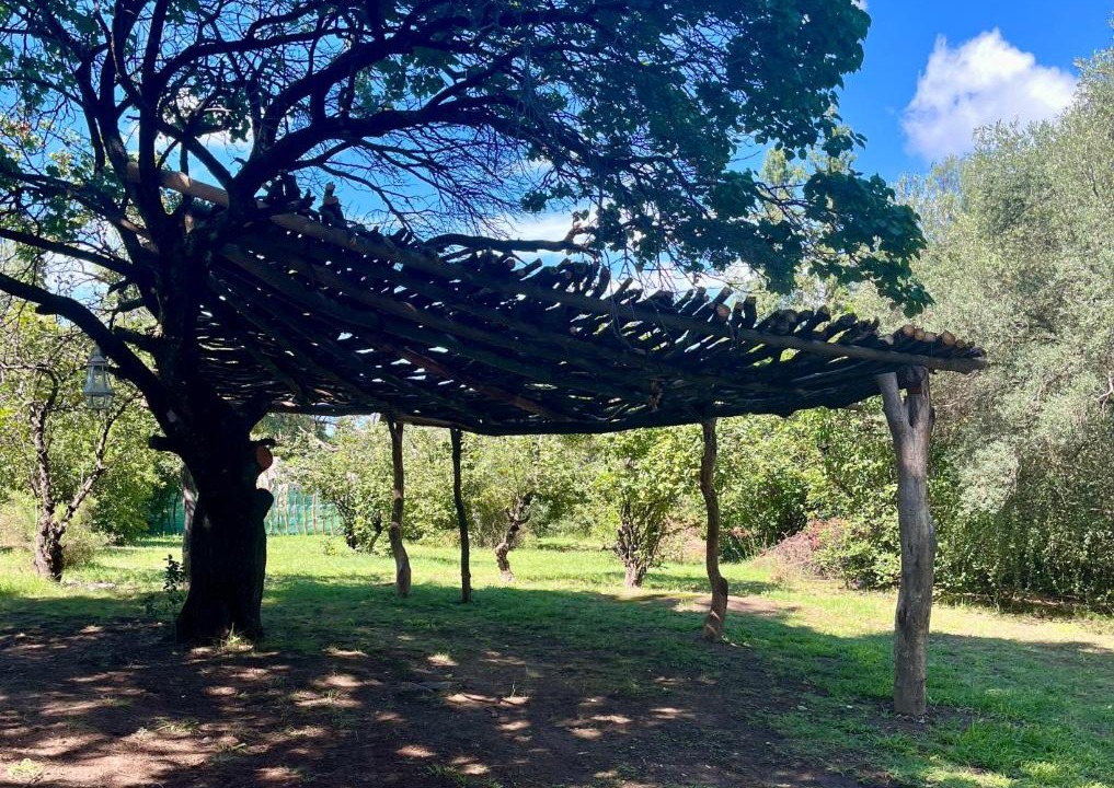 Photo of Outdoor in San Javier