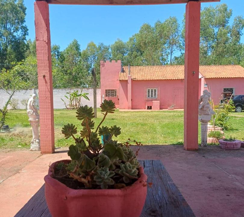 Photo of Others in Sao Lourenco do Sul
