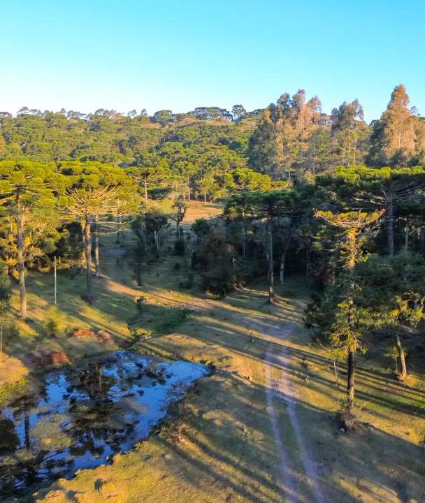 Photo of Others in Cambara do Sul