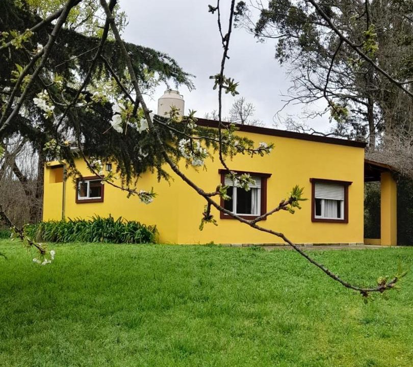 Photo of Others in Tandil