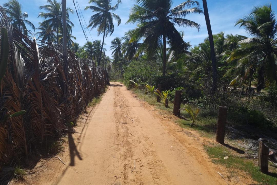 Photo of Others in Santo Antonio
