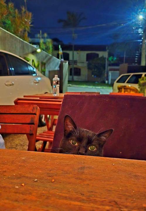 Photo of Others in Ipanema