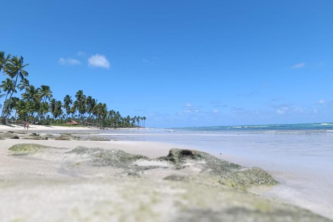 Photo of Others in Praia dos Carneiros