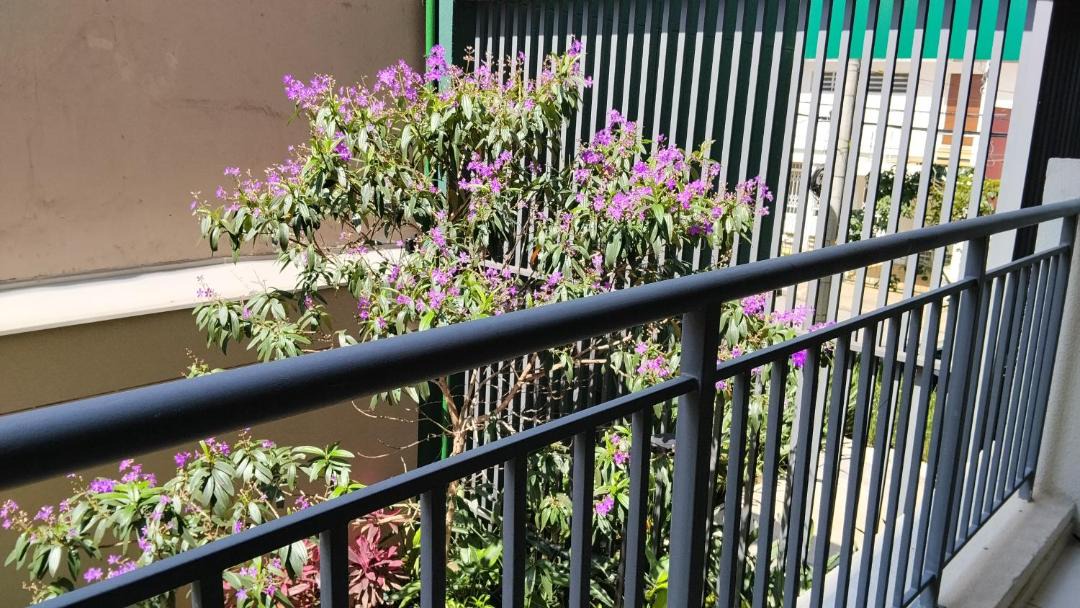 Photo of Patio Balcony in Sao Paulo