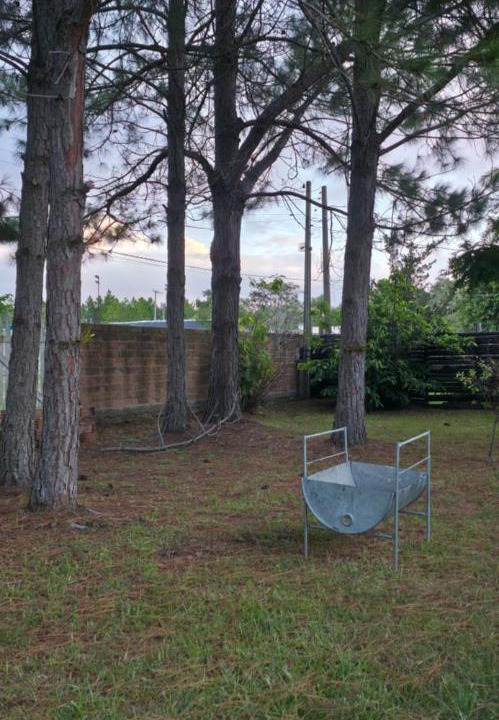 Photo of Outdoor in Mostardas