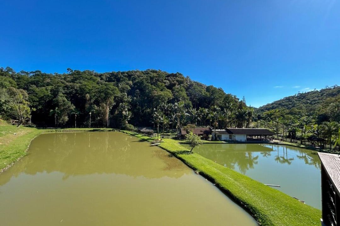 Photo of Others in Blumenau