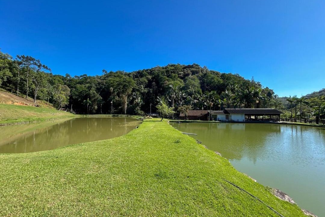 Photo of Others in Blumenau