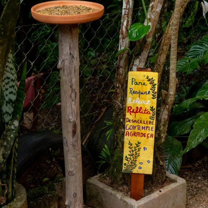 Photo of Others in Guabiruba