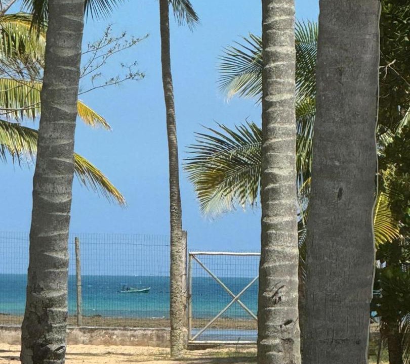Photo of Others in Vera Cruz