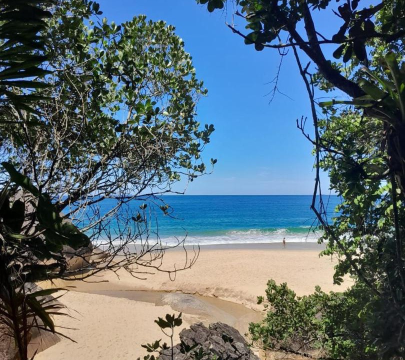 Photo of Others in Trindade