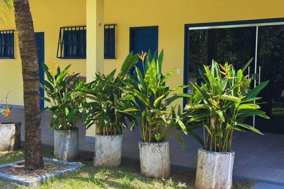 Photo of Others in Novo Airao
