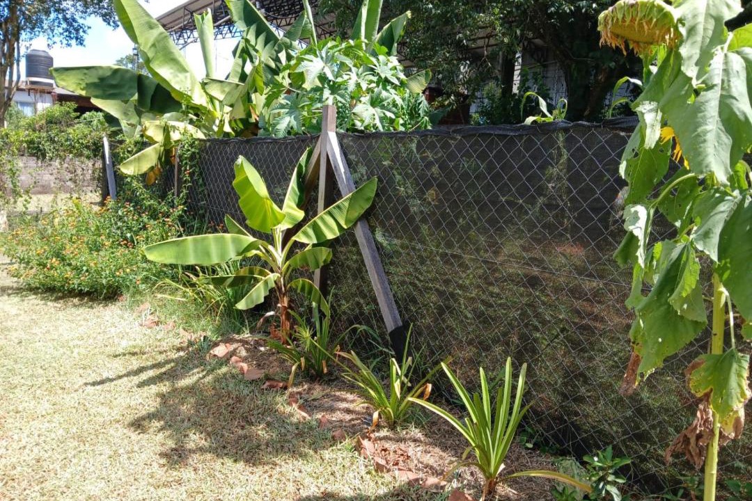 Photo of Others in San Ignacio
