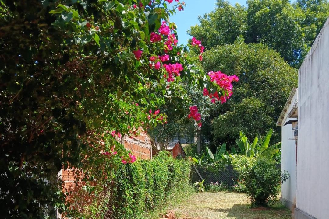 Photo of Others in San Ignacio