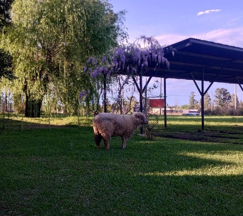 Photo of Others in Colon