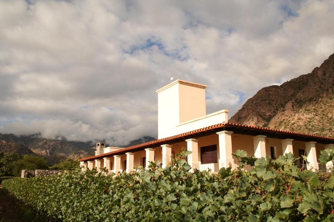 Photo of Others in Cafayate
