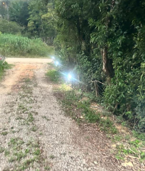 Photo of Outdoor in Anitapolis