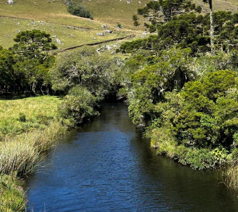 Photo of Others in Cambara do Sul