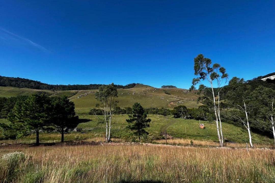 Photo of Others in Cambara do Sul
