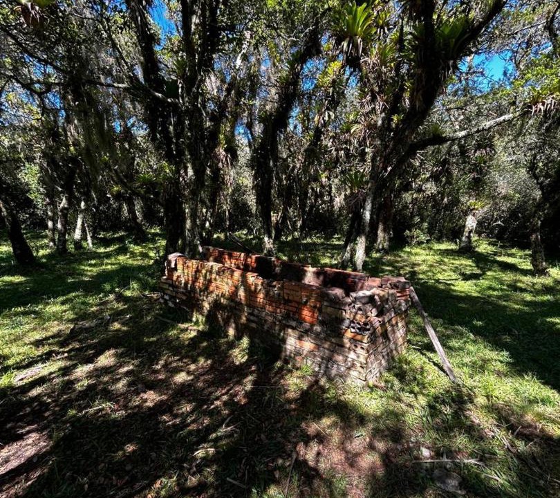 Photo of Others in Cambara do Sul