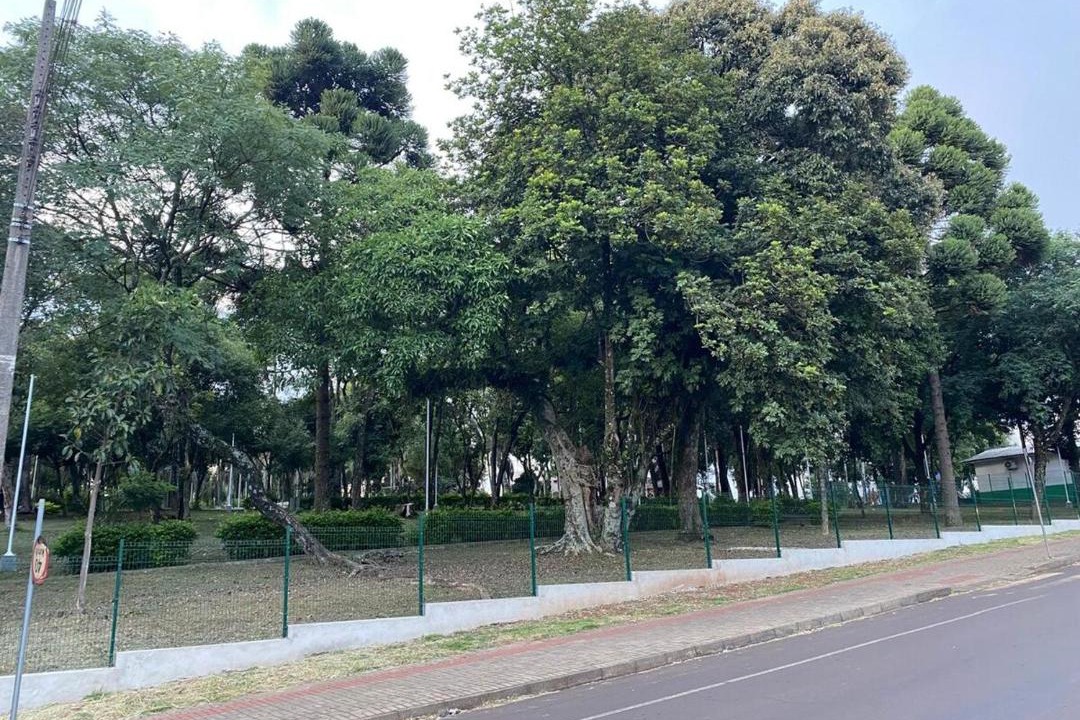 Photo of Others in Parque das Palmeiras